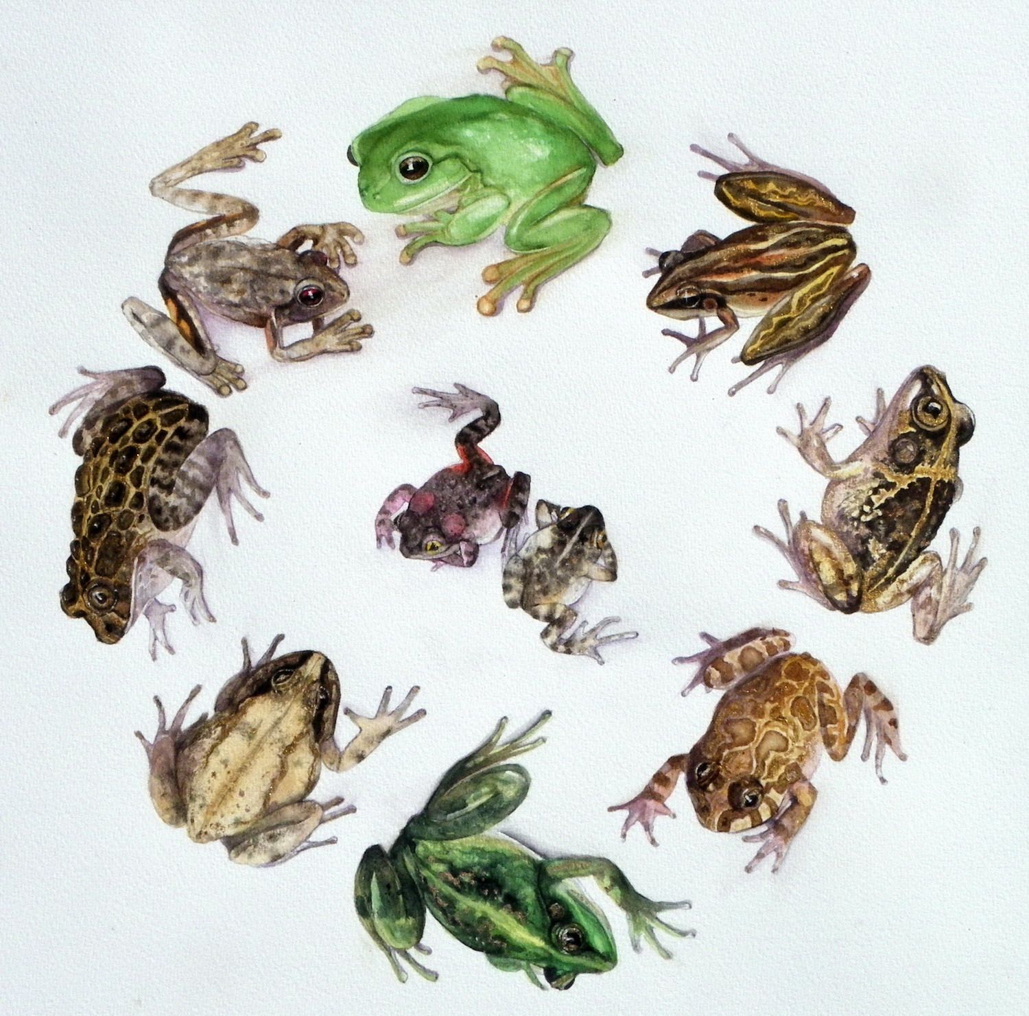 Ten Territorians
