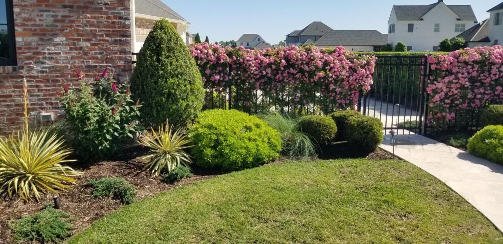 Top Landscape Projects to Enhance Your Yard's Functionality