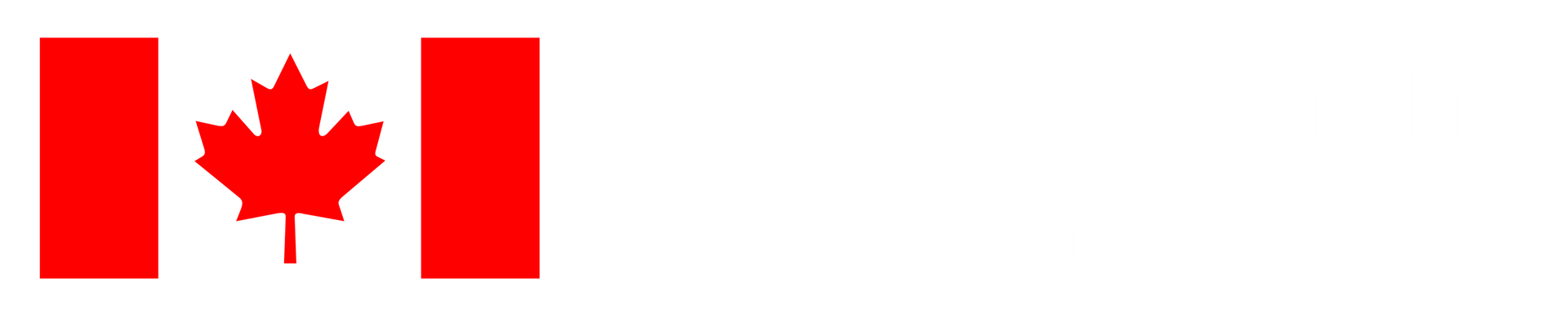 Gouvernement Quebec LOGO