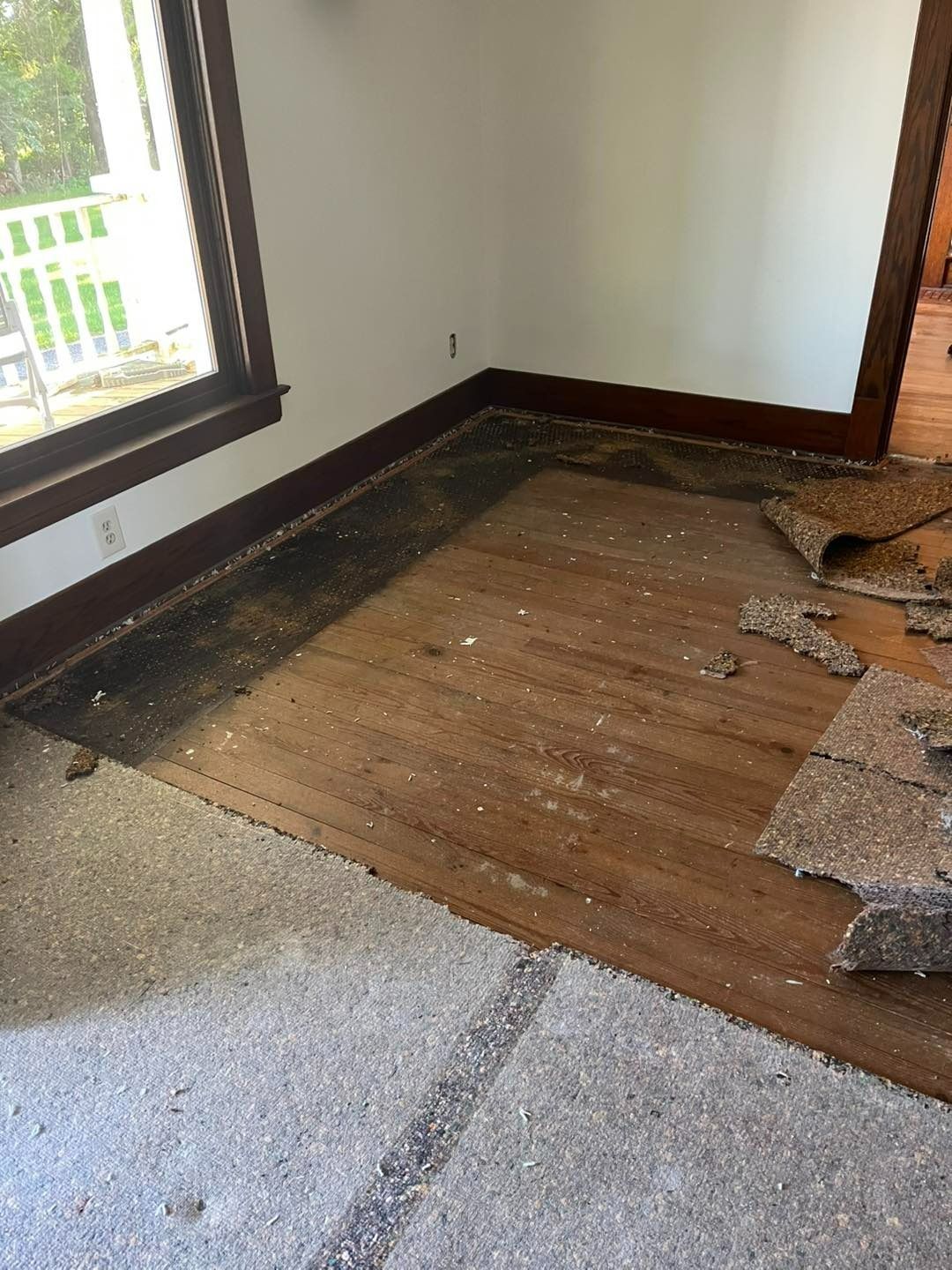 Room with exposed hardwood floors, remnants of carpet, and window with white fence visible outside.