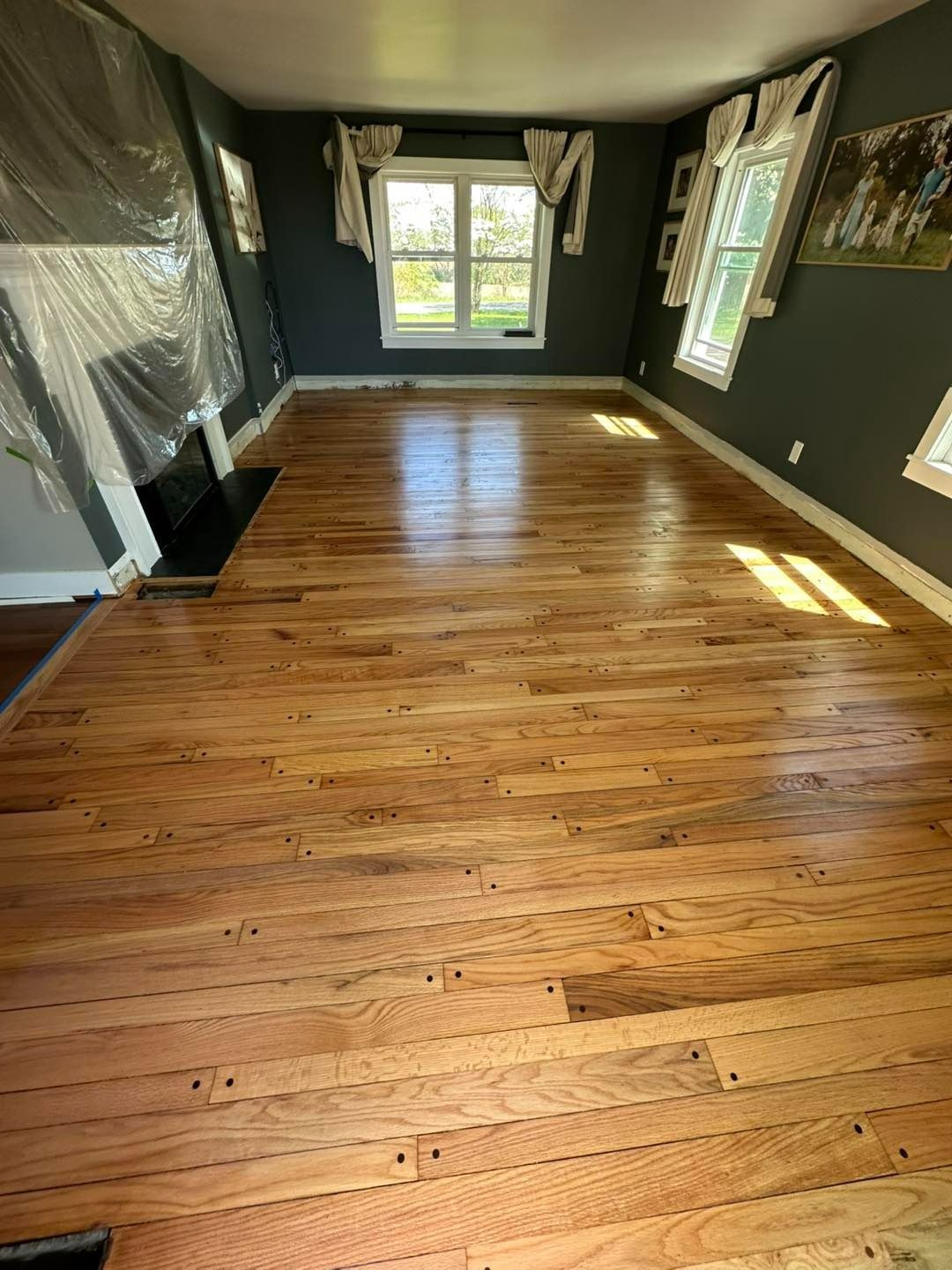 Hardwood floor, dark gray walls, and natural light coming through windows in a room.