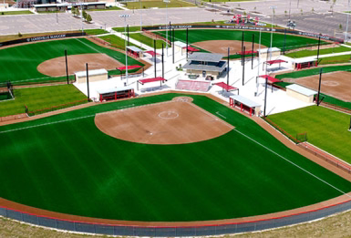 JP Sports Flashin' The Leather Series