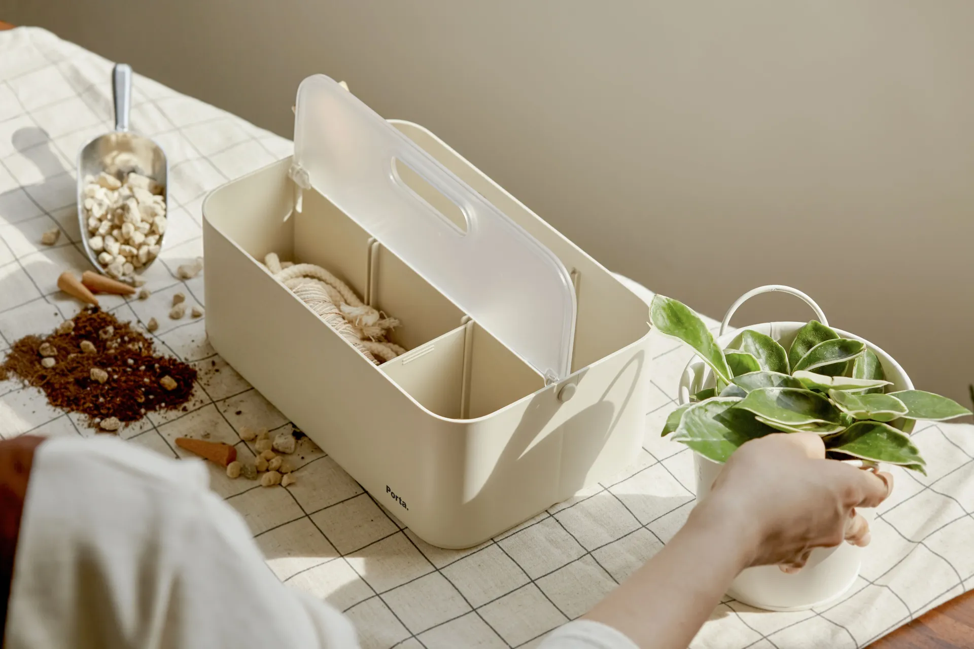 Una persona sostiene una planta junto a una caja sobre una mesa.