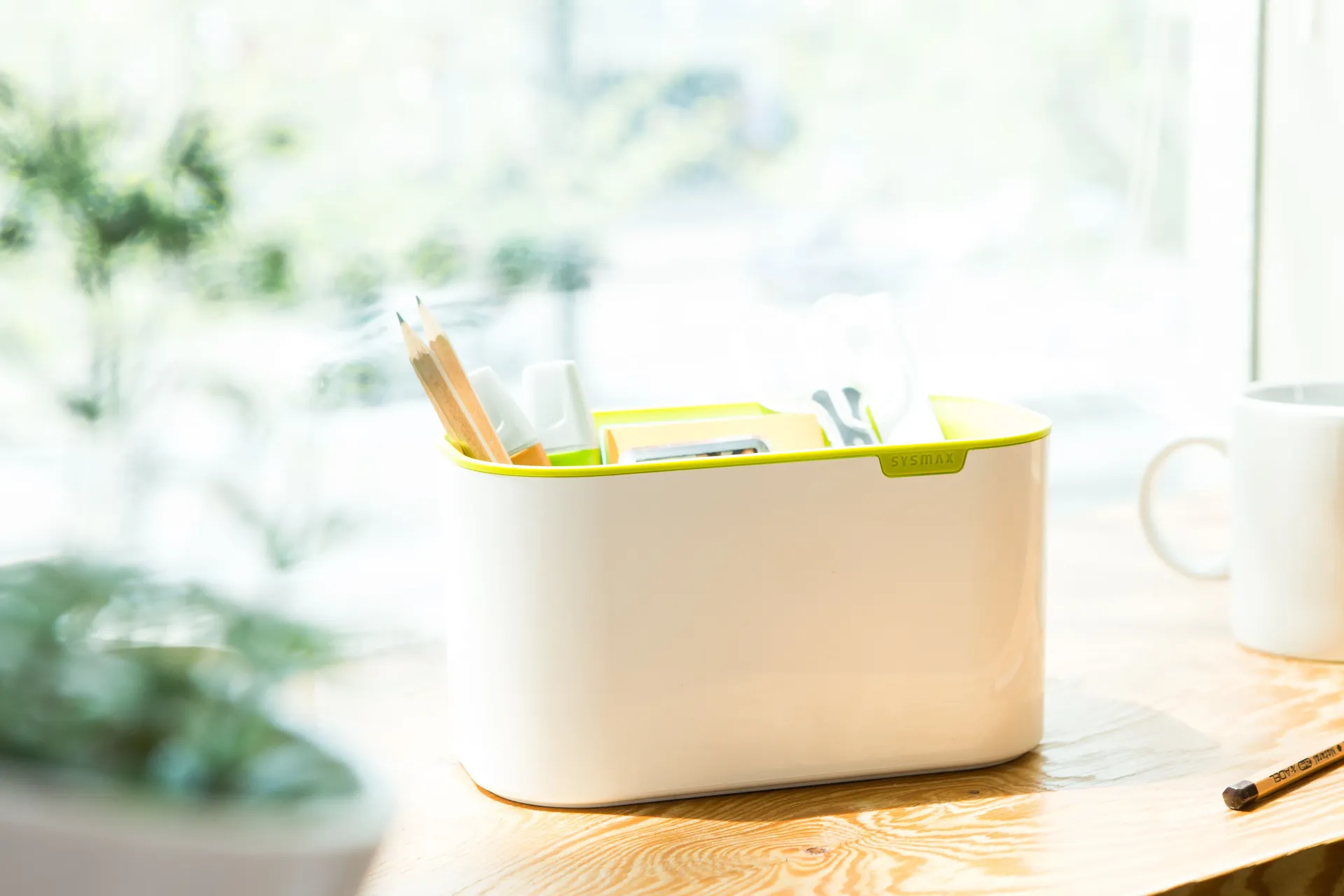 Organizador de escritorio verde con material, de litem