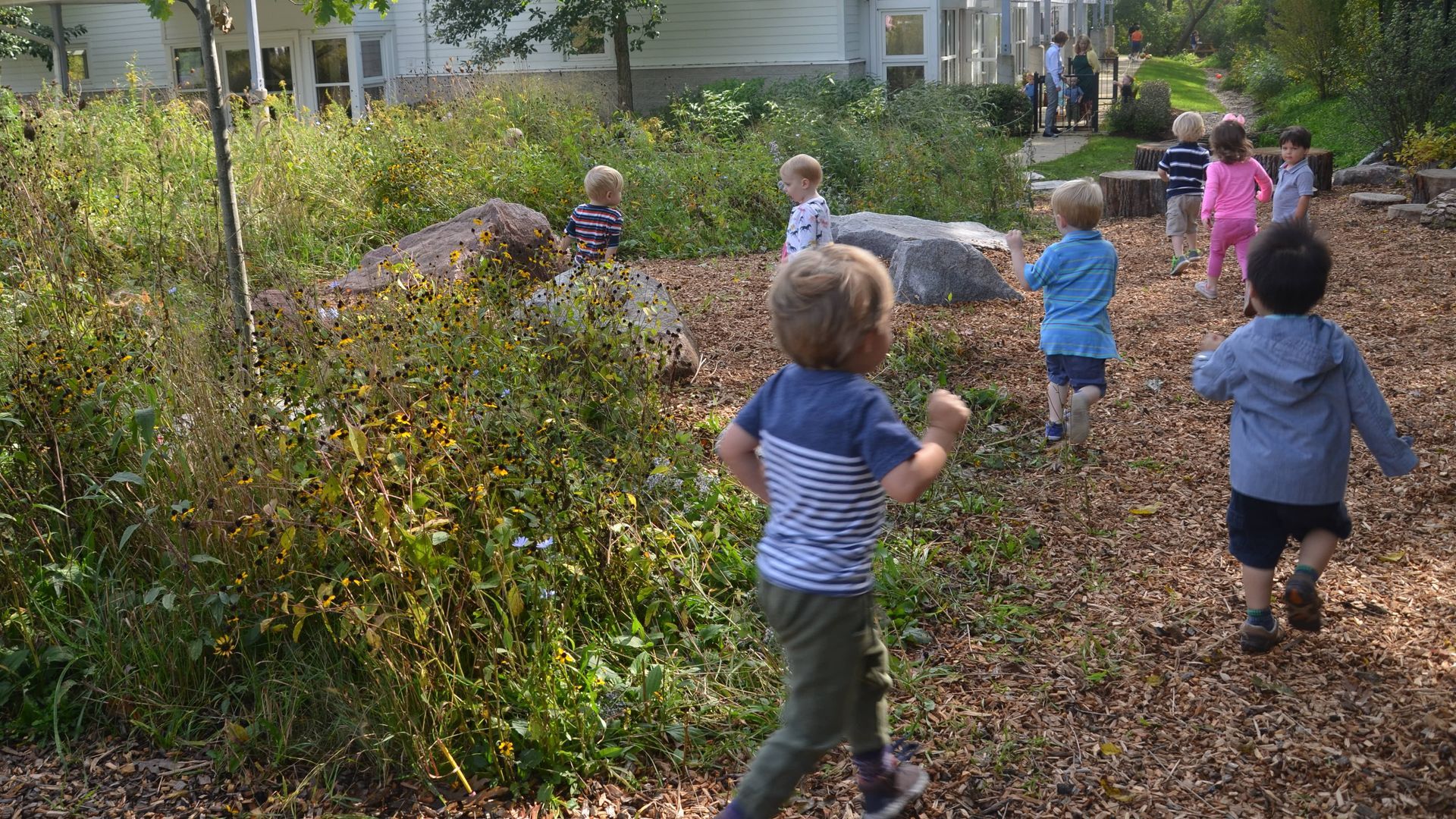 A group of Montessori children are running through a wooded area.