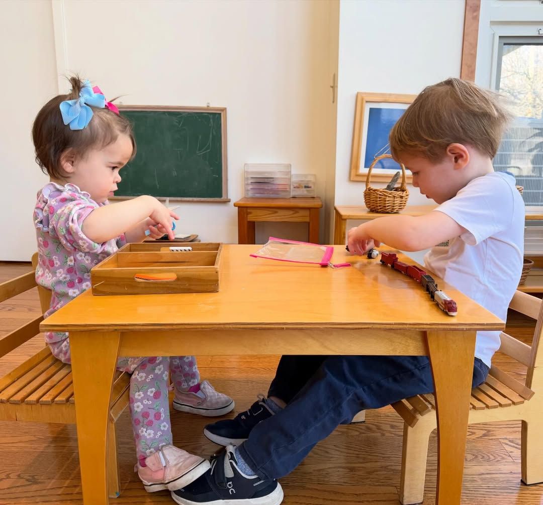 Two Primary students at Forest Bluff School in Lake Bluff, IL, work at a small table together.