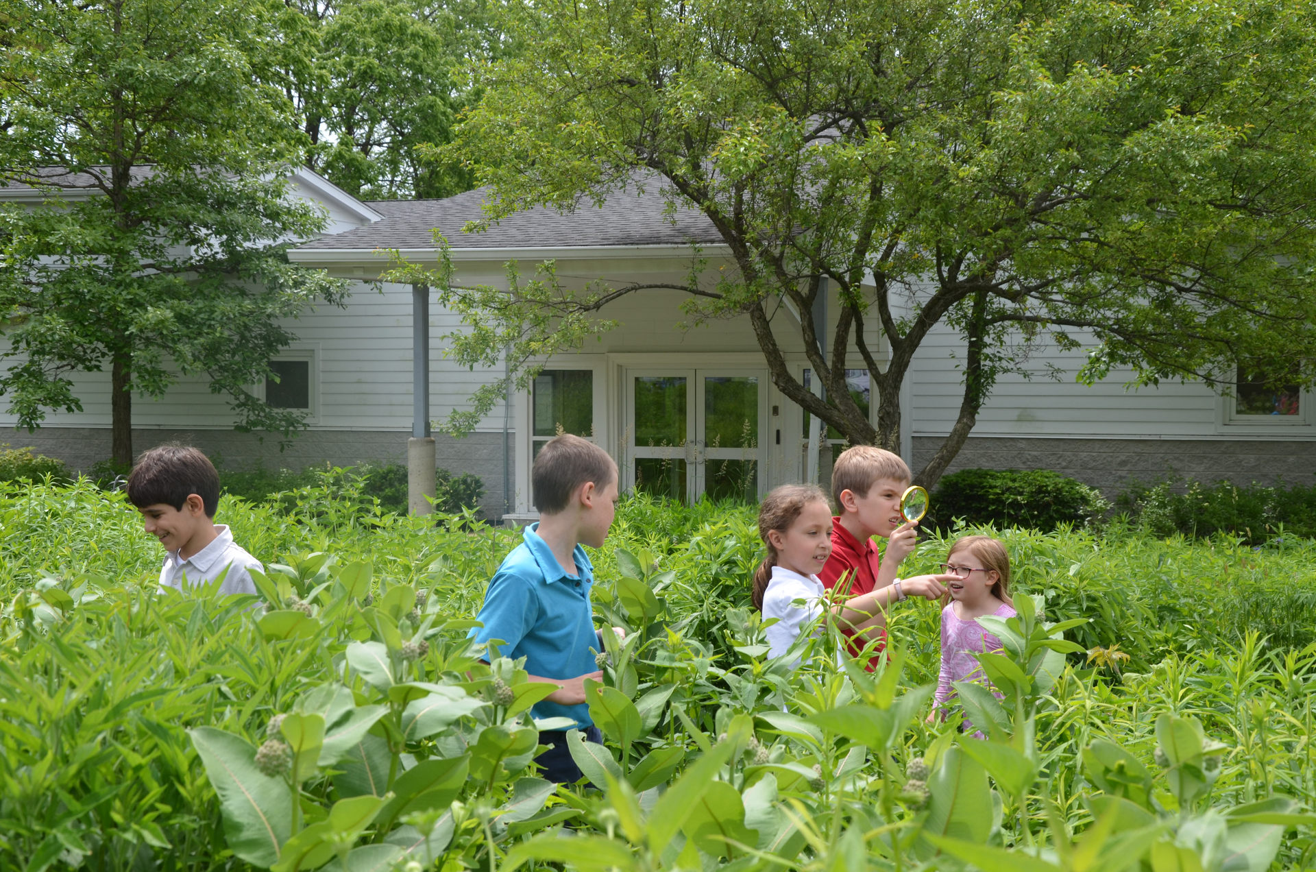 A group of five elementary aged children explore together outside in tall prairie plants