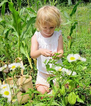 A little girl is kneeling in the grass picking flowers.