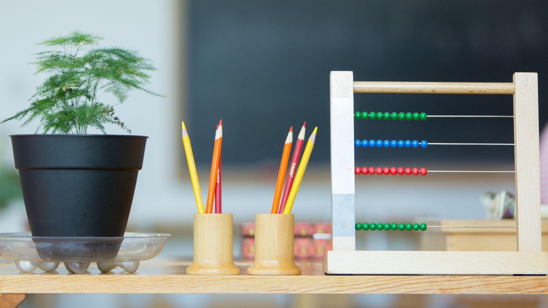 A potted plant , pencils , and an abacus are on a wooden shelf.