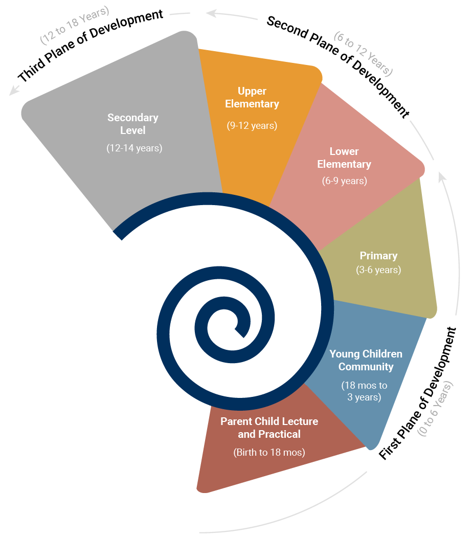 Spiral Planes of Development