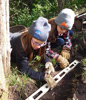 Two girls are using a level to measure a tree stump.