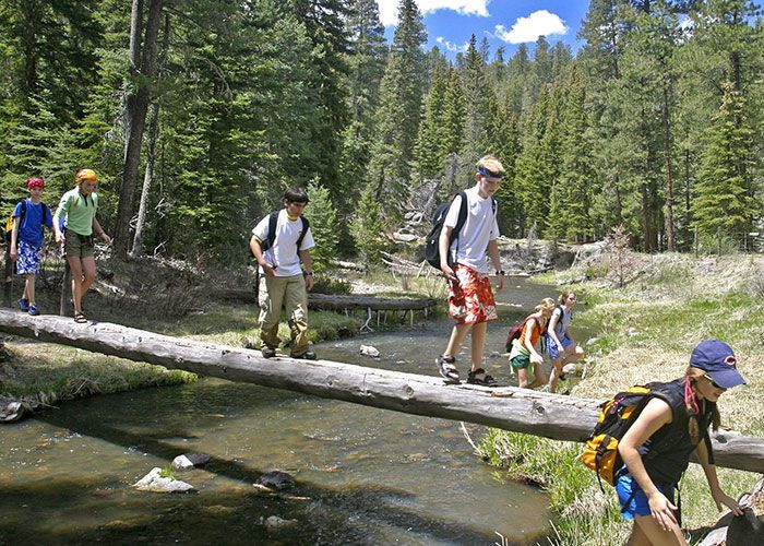 A group of people are walking across a log over a river.