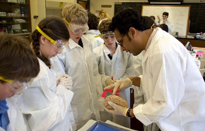 A group of children are looking at a brain in a lab