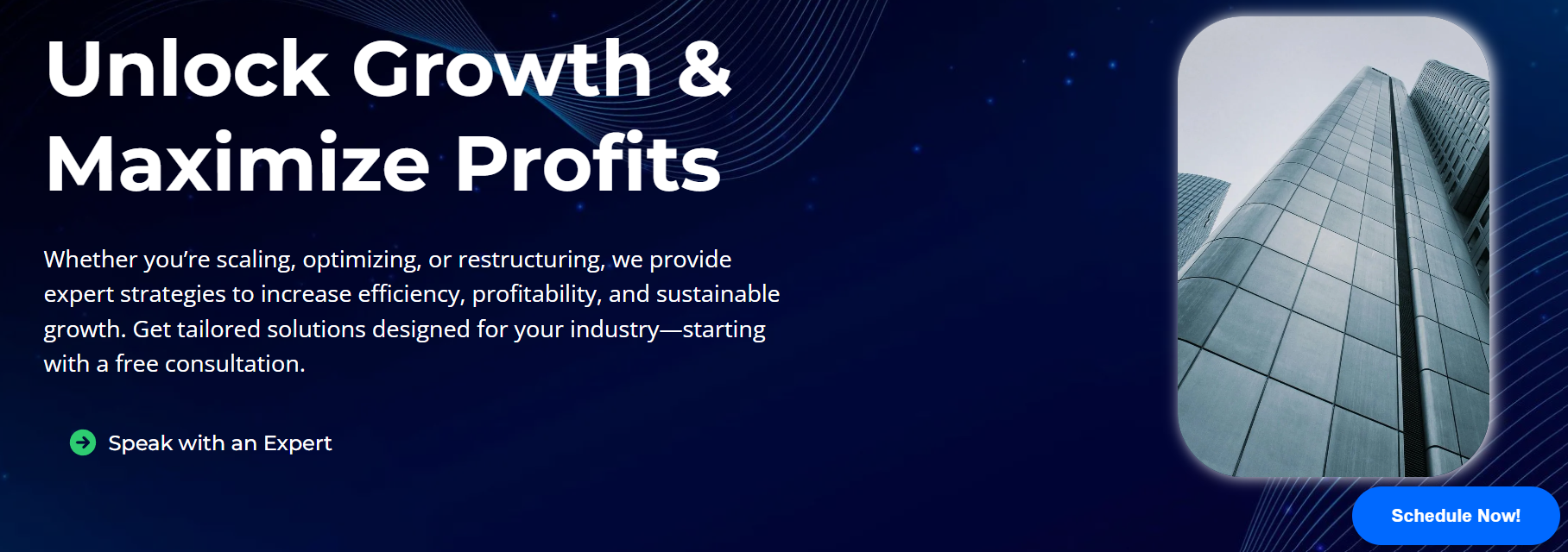 Call Momentum Growth Partners and Hire Fractional CFO services today