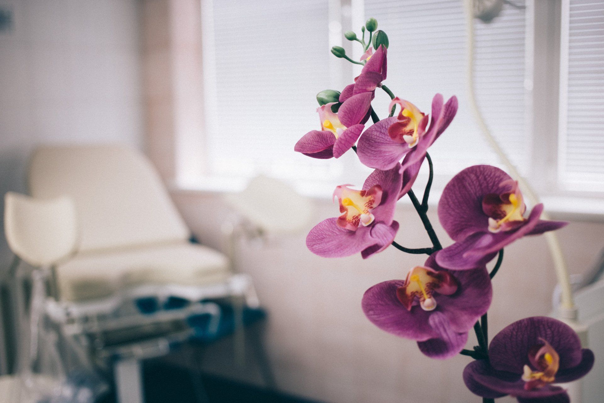 Um close de uma orquídea roxa em uma sala.