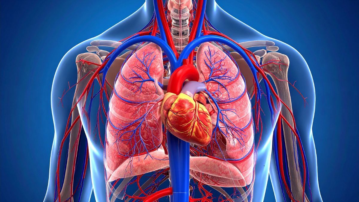 Area Respiratoria a Piacenza: prevenzione, spirometria e diagnosi delle patologie polmonari | IGEA