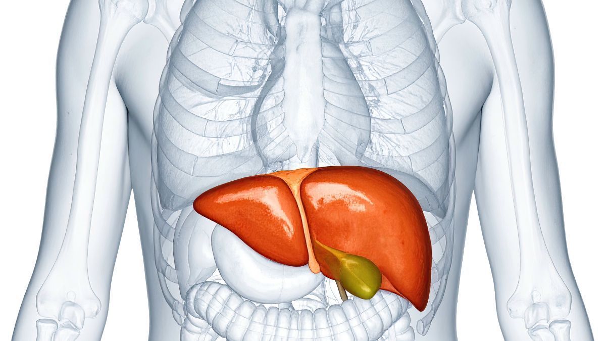 Epatologia Chirurgica e Chirurgia Bilio-Pancreatica a Piacenza