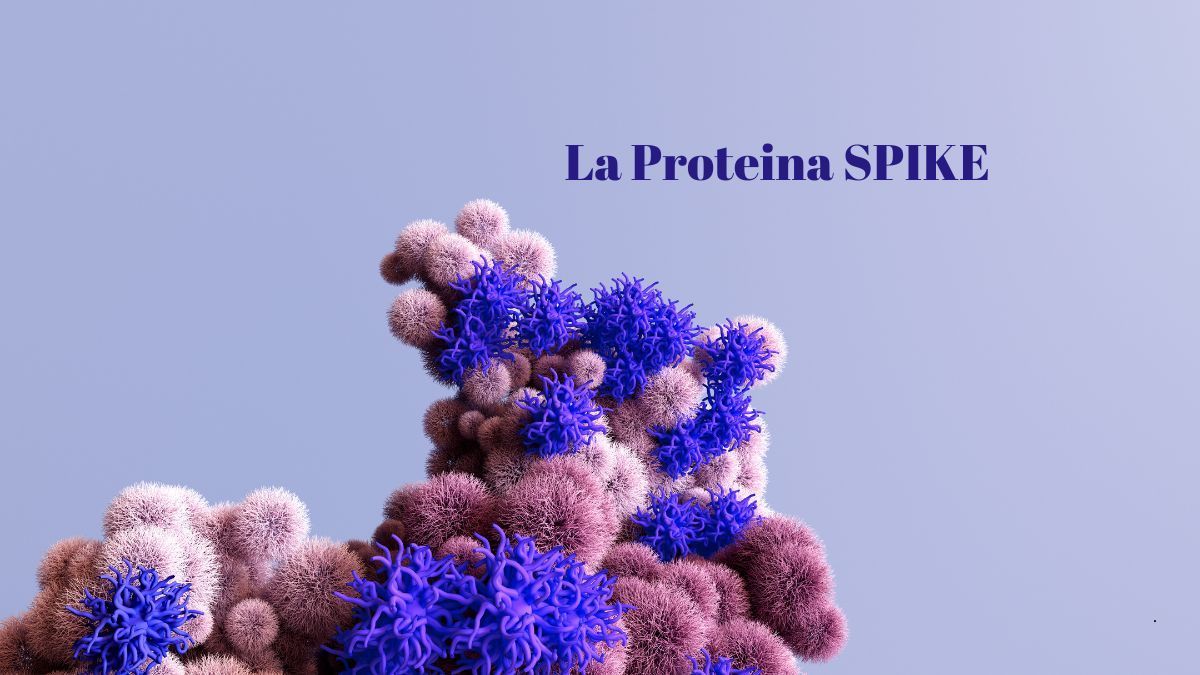 Etimologia e Fisiopatologia della Proteina SPIKE: Il ruolo della Spike nella salute umana | Poliambulatorio IGEA Piacenza