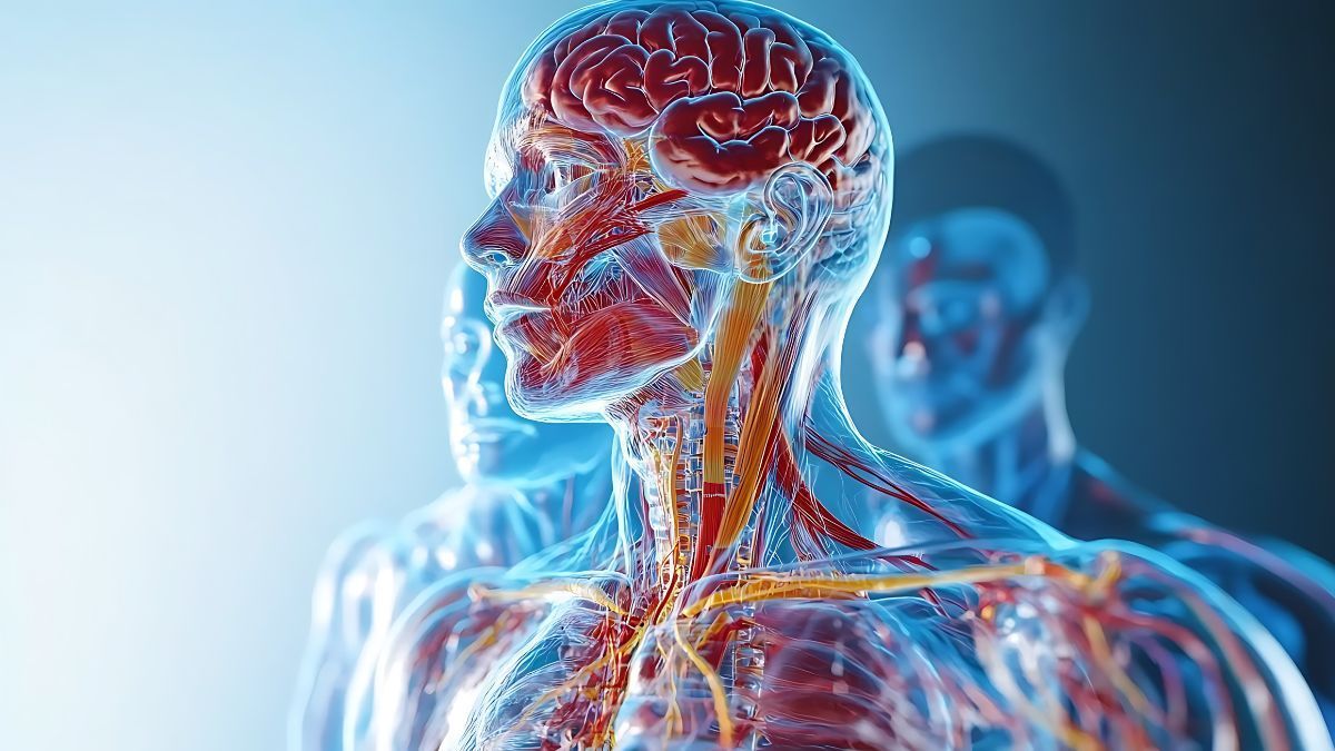 Morte Improvvisa: cause, sintomi e ipotesi sul ruolo del nervo vago | Poliambulatorio IGEA Piacenza