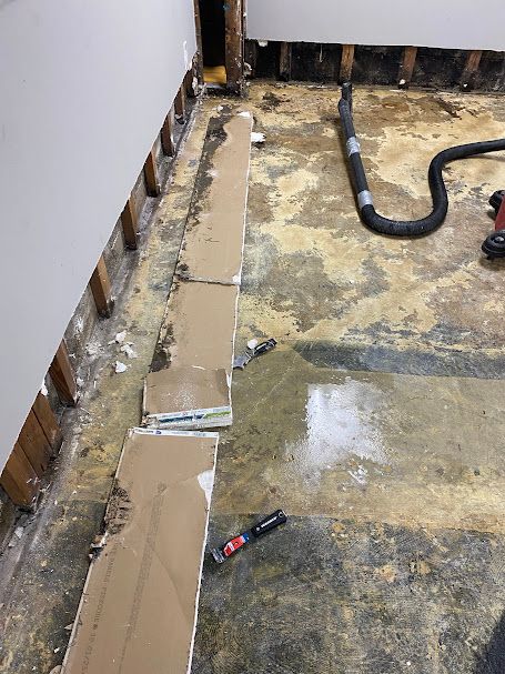 A vacuum cleaner is sitting on the floor of a room.