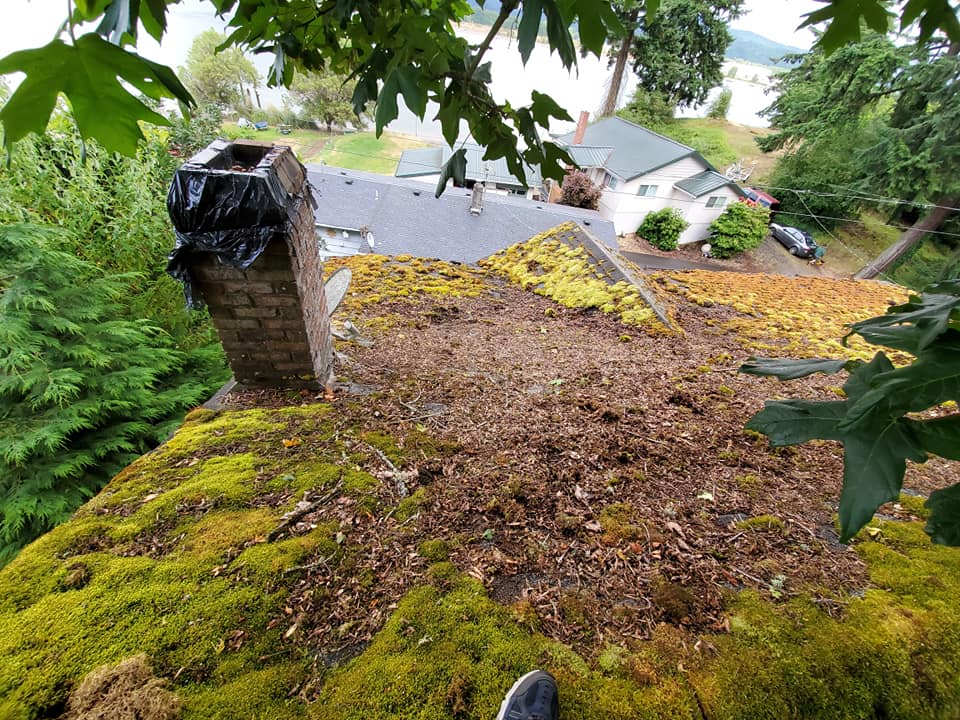 Roof With Lots of Leaves — Astoria, OR — Northwest Roofing & Construction LLC