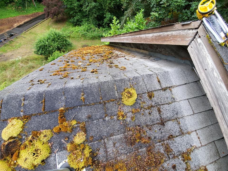 Shingle Roof Before — Astoria, OR — Northwest Roofing & Construction LLC