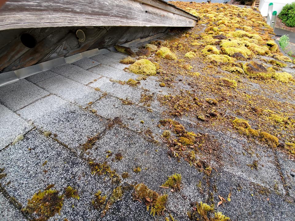 Dirty Roof — Astoria, OR — Northwest Roofing & Construction LLC