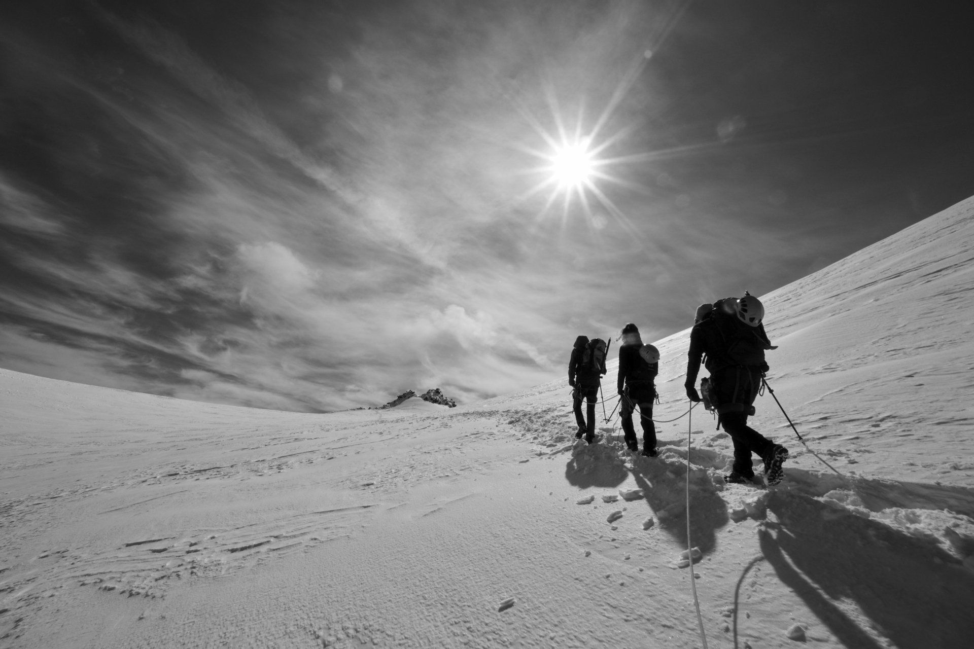 Wildspitz Hochtour buchen