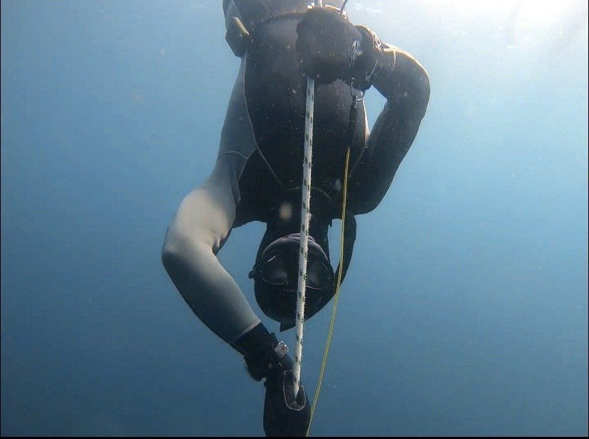 determined freediving taiwan