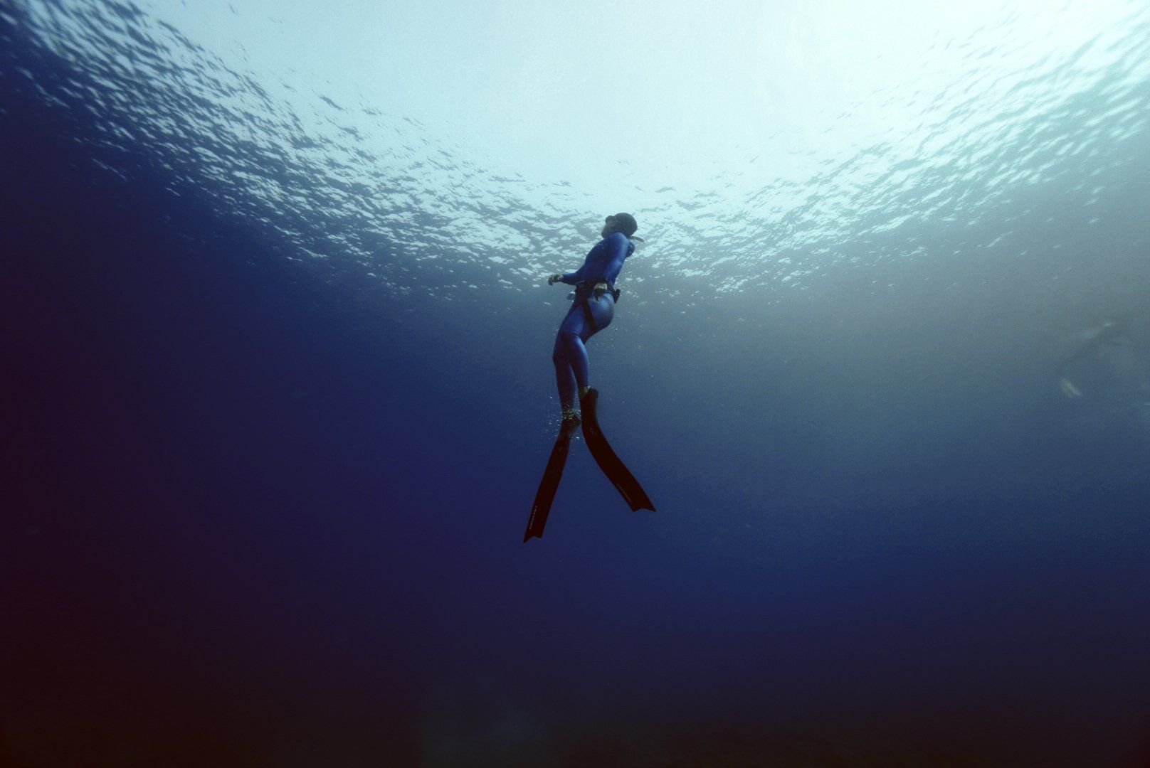 what is freediving