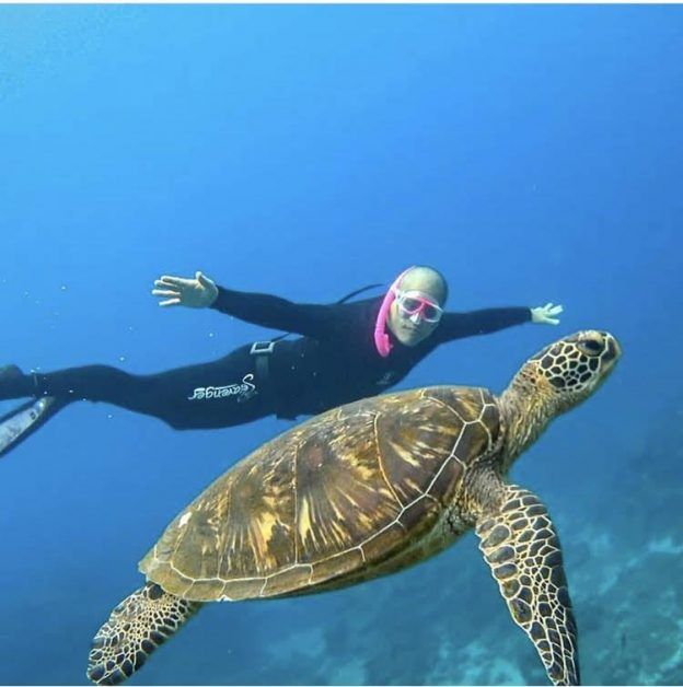 diving with sea turtles