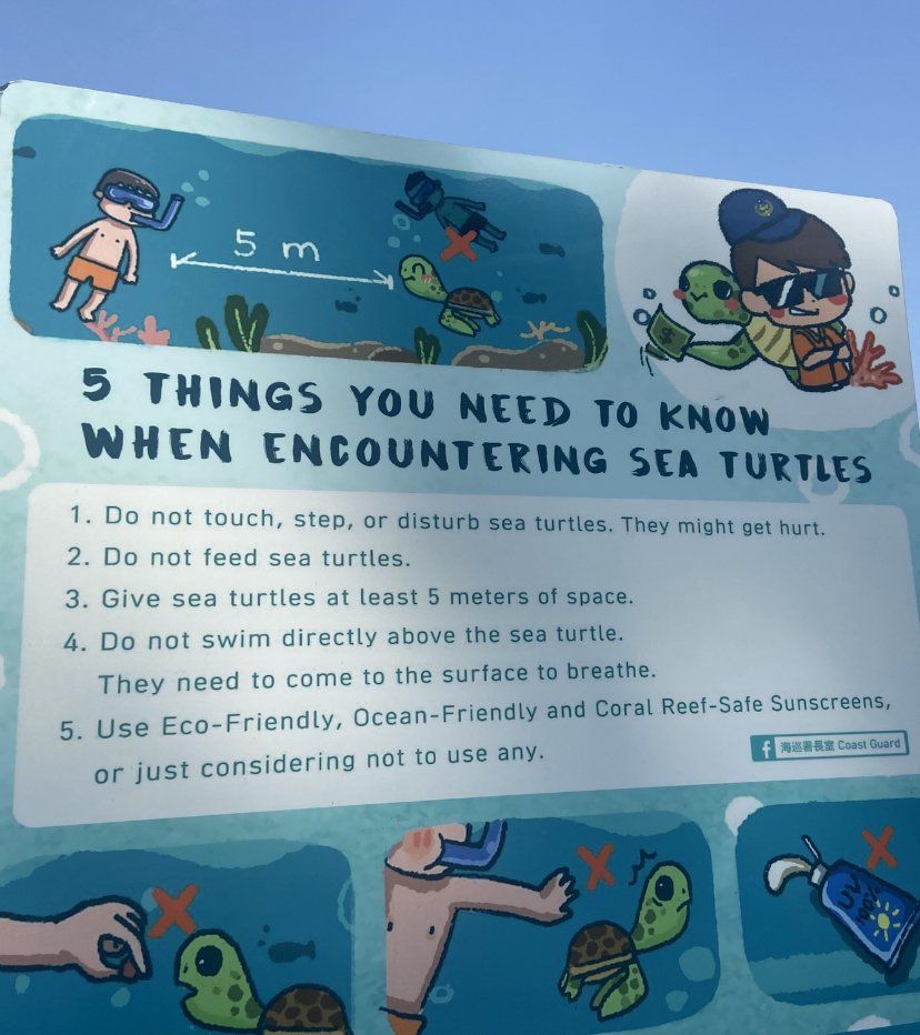 Xiaoliuqiu Sea Turtle Guidelines