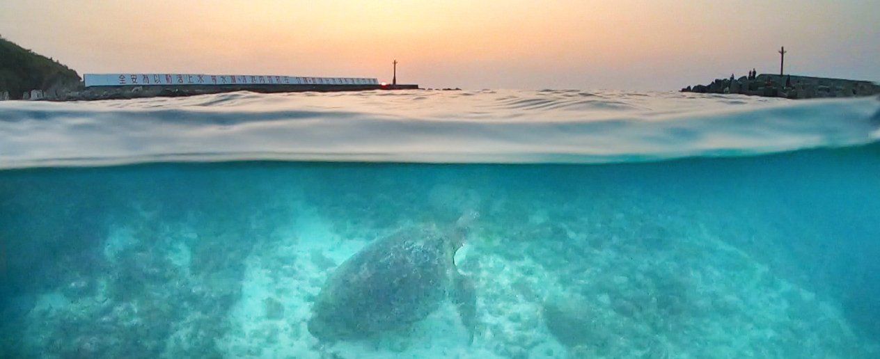 Xiaoliuqiu Sea Turtle sunset