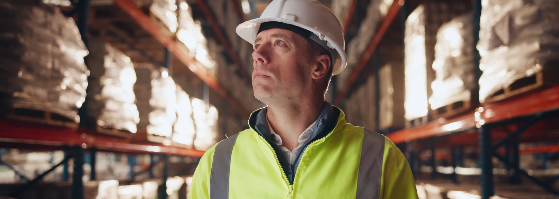 Picture of a warehouse worker. 