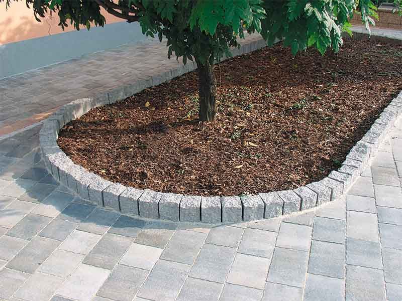 In der Mitte einer gepflasterten Auffahrt steht ein Baum.