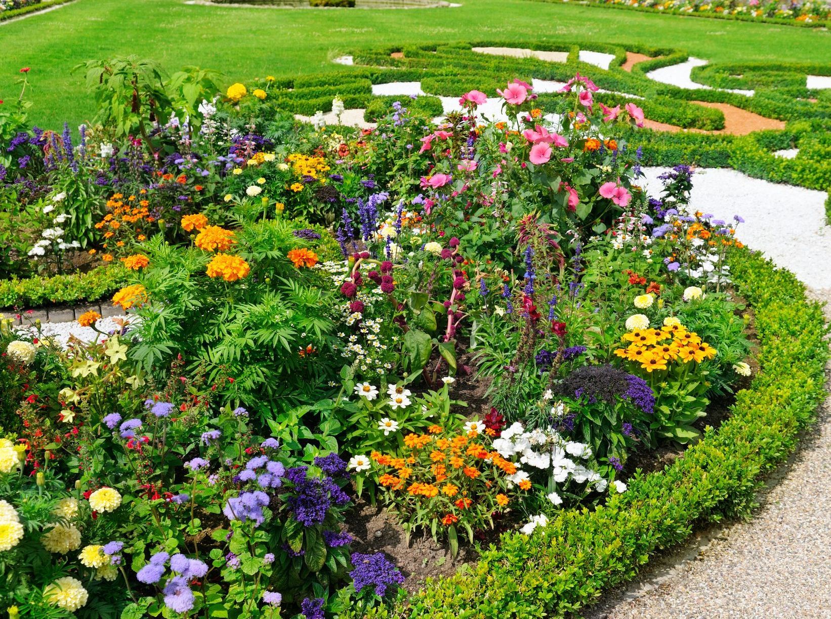 Freshly planted seasonal flowers in a colorful flower bed.