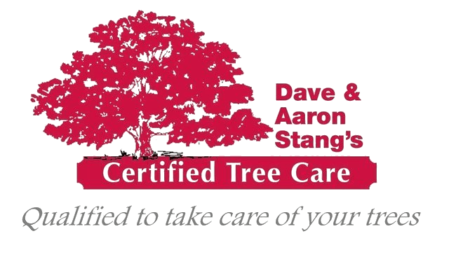 Dave & Aaron Stang's Certified Tree Care Logo