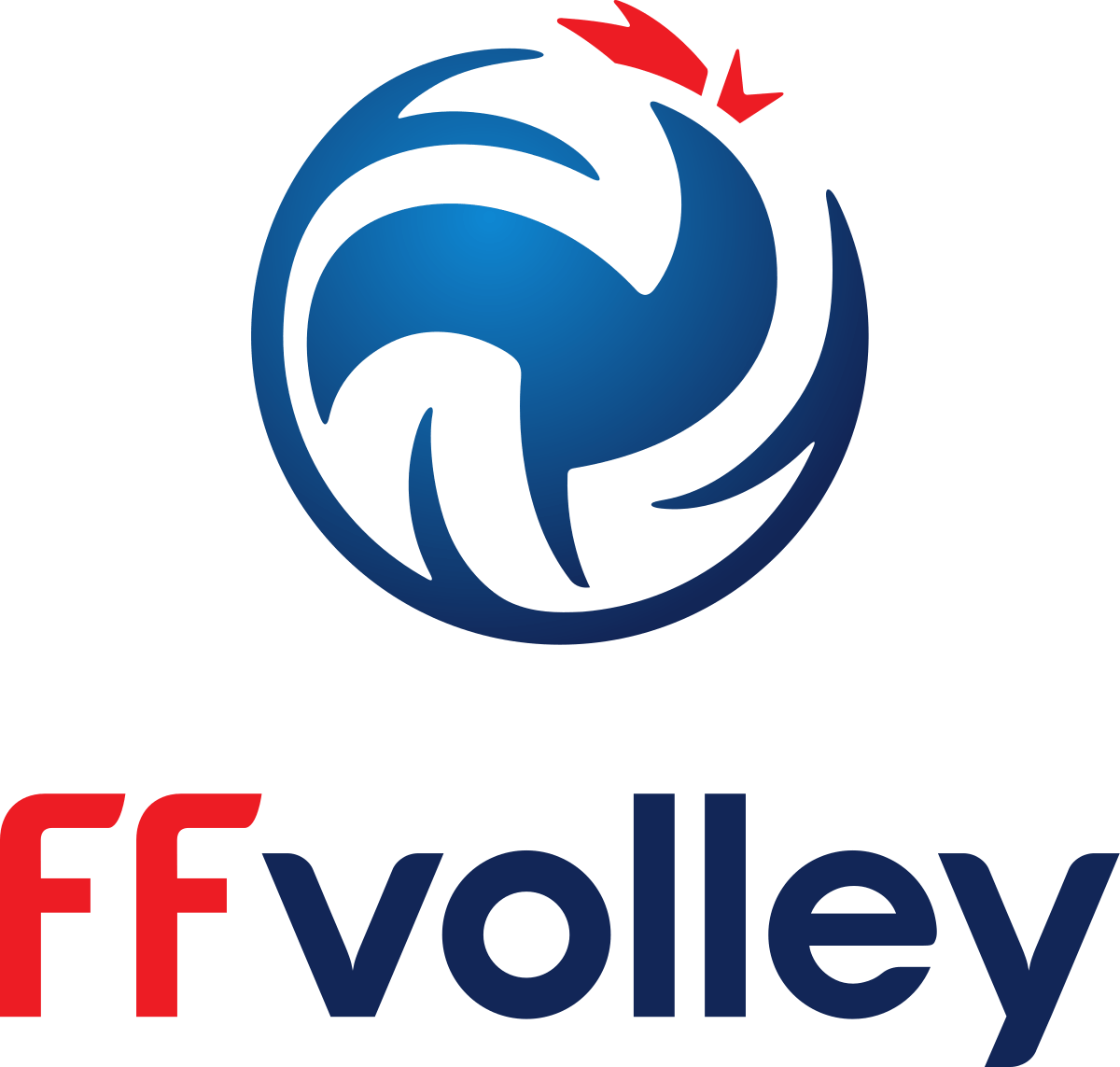 Logo Fédération Française de Volley Ball