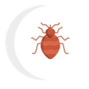 A bed bug icon with a crescent moon in the background.