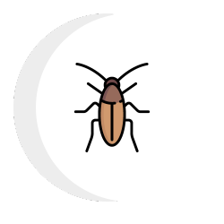 A cockroach icon with a crescent moon in the background.