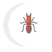 A termite icon with a crescent moon in the background.