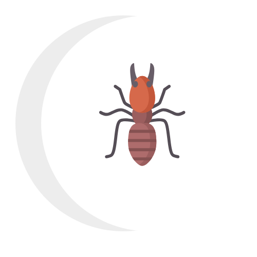 A termite icon with a crescent moon in the background.
