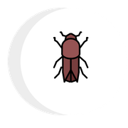 A red bug is sitting on a white crescent moon.