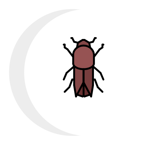 A red bug is sitting on a white crescent moon.