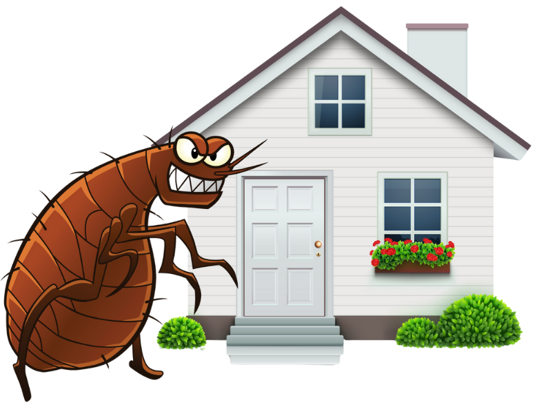 A cartoon cockroach is standing in front of a house.