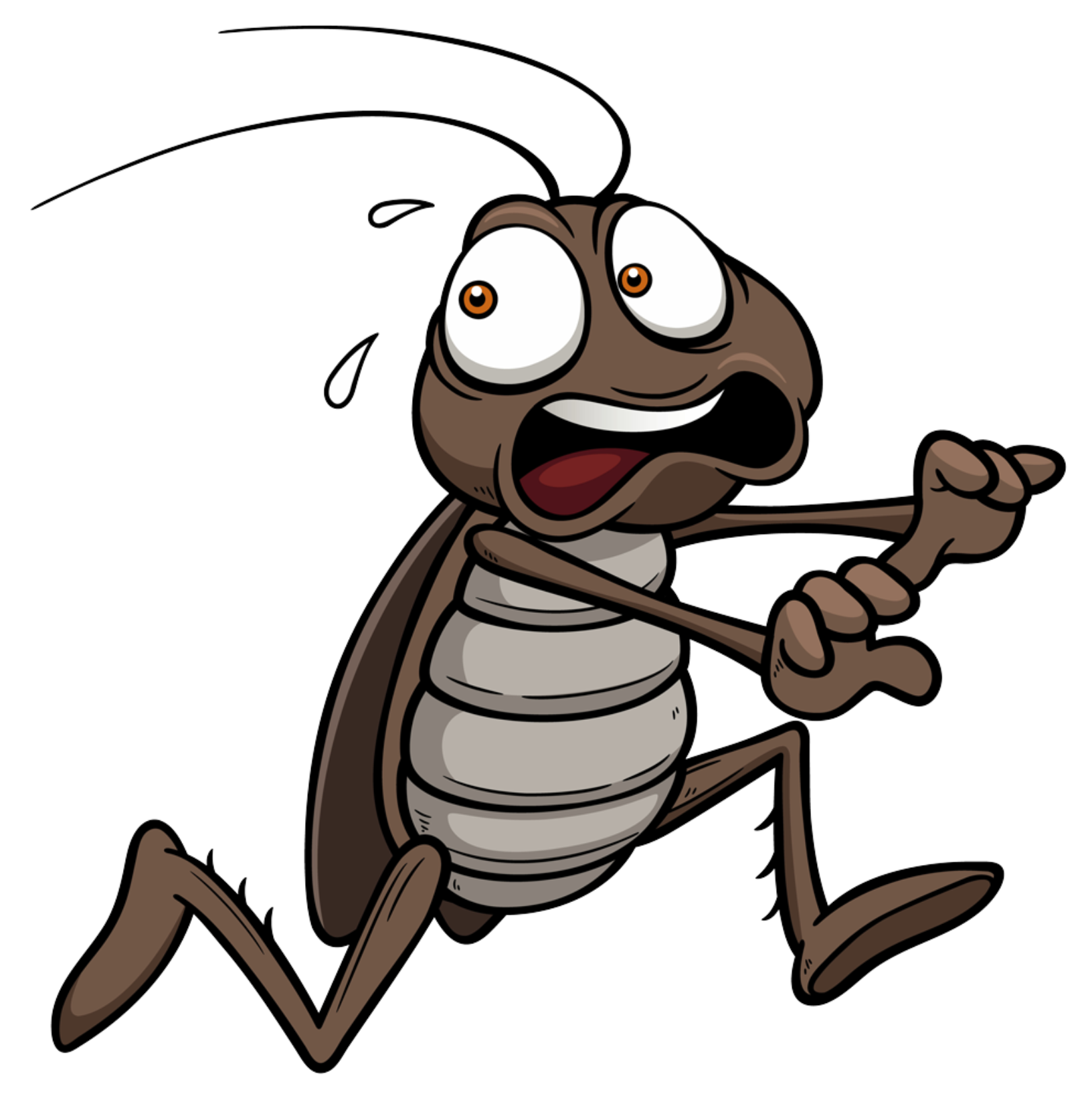 A cartoon cockroach is running away from something.
