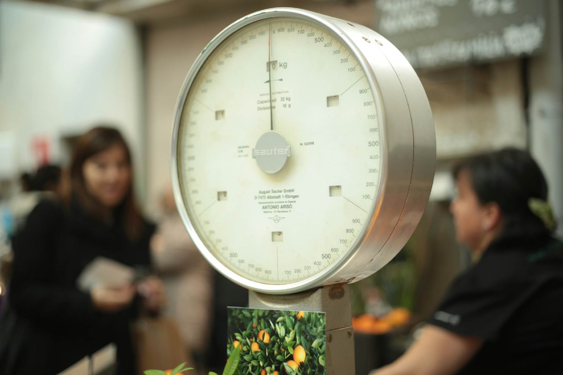 Báscula La Garantía