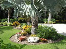 Lawn - lawn services in Bradenton, FL