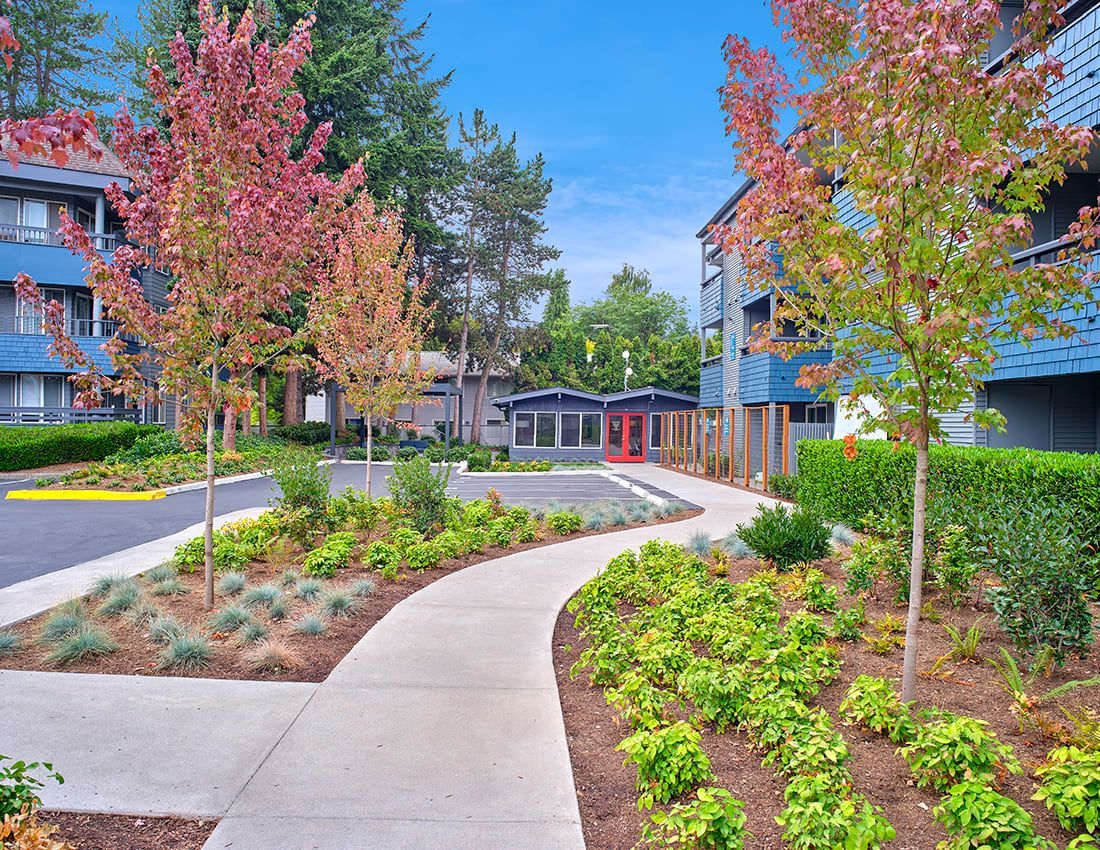 A concrete walkway winds through a landscaped garden between two multi-story blue apartment buildings with colorful trees.