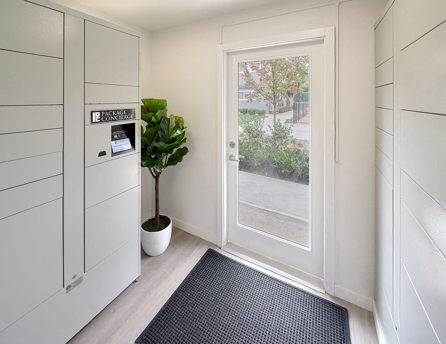 A bright entryway featuring a grey parcel locker system, a potted plant, a dark grey rug, and a glass-paneled white door.